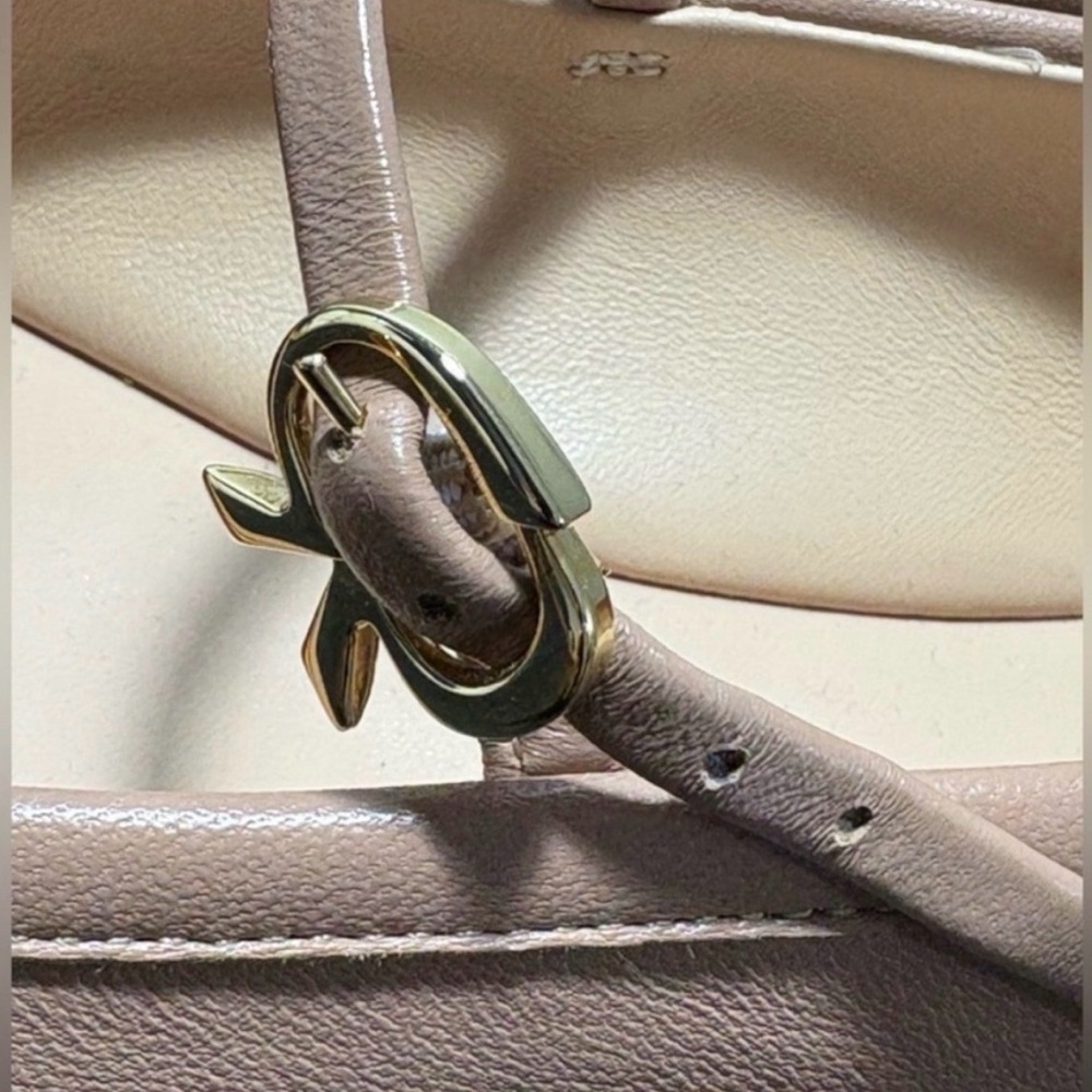 DELISTING TONIGHT. Gianvito Rossi Carla Ballerina. Tan Leather EU 40 (US 9.5–10) - Picture 6 of 11